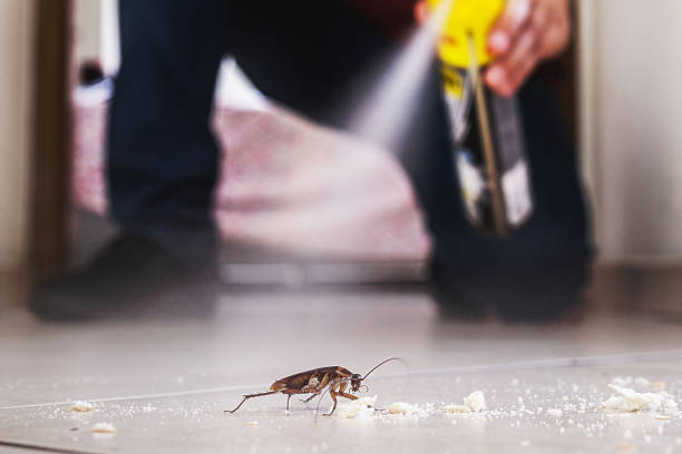 Waipahu, HI Pest Control Company